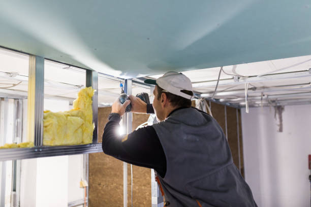 Best Residential Insulation in Oxford, MI